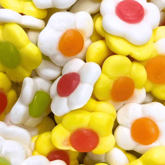 🌱🍬 Daisies - Jake (100g)