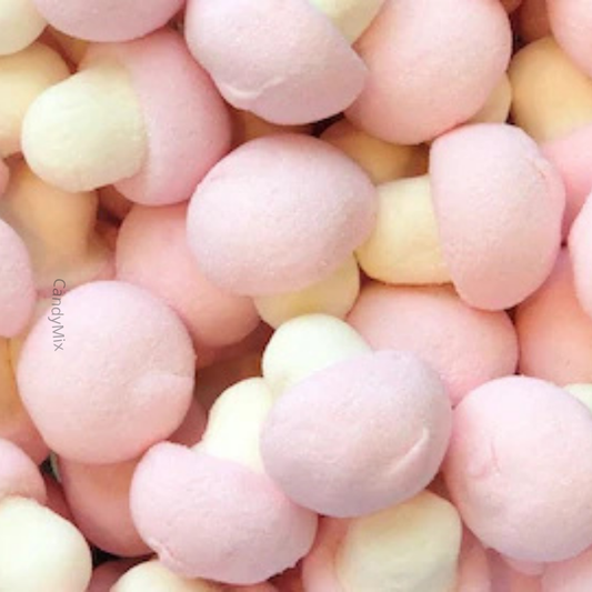 🌙✨ Mini Mushroom- Dulceplus (100g)