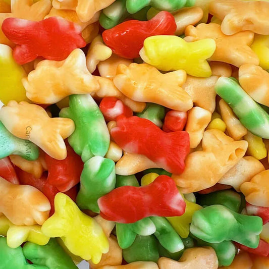 🌙🍬 Oiled Fish Twist - Dulceplus (100g)