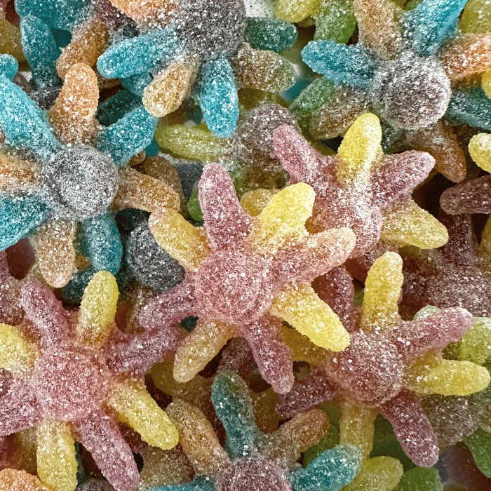 🌙✨Sour Octopus - Jake (100g)