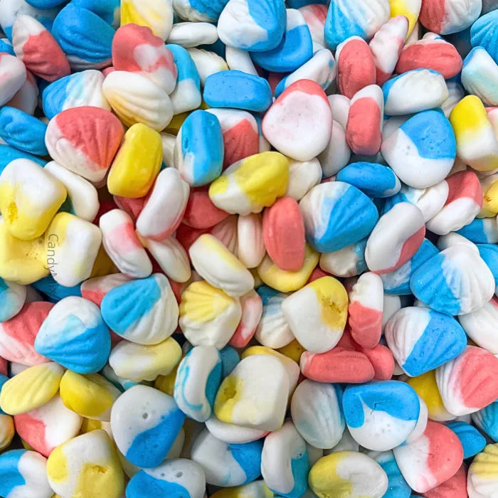 🌙🍬 Mini Foam Clam - Dulceplus