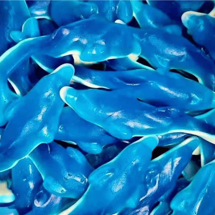🌙🍬 Dauphins Géants - Damel (100g)