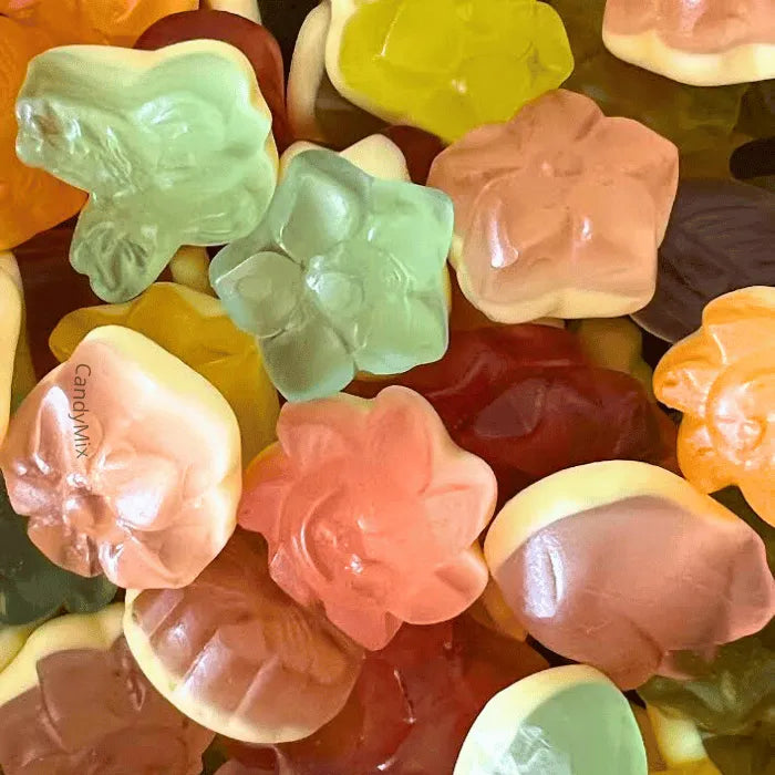 🍬 Spring Mix (100g) - Pedro